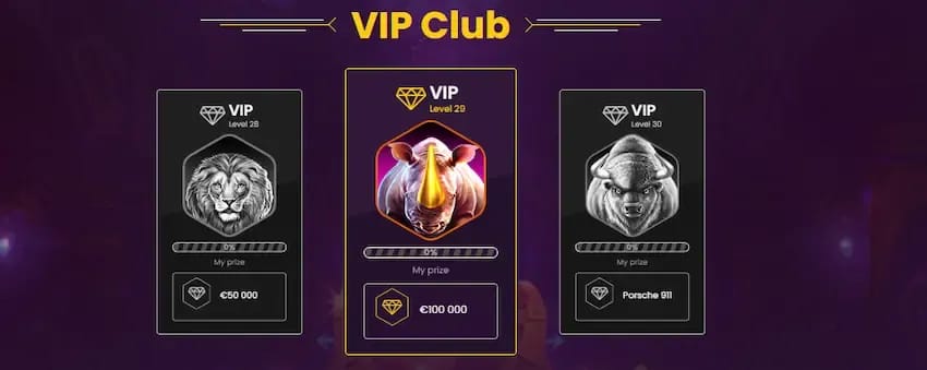 Gambling info site - Bizzo Casino